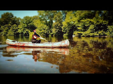 YBDS Kayitz - Week 3 5780