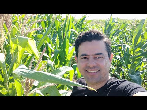 PROJETO DE IRRIGAÇÃO POR ASPERSÃO FIXA  AUTOMATIZADA