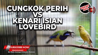 Download lagu đź”´Masteran Versus Cucak Cungkok Super Gacor Isian Pedas vs Kenari Isian Lovebird Panjang mp3 Download lagu đź”´Masteran Versus Cucak Cungkok Super Gacor Isian Pedas vs Kenari Isian Lovebird Panjang mp3