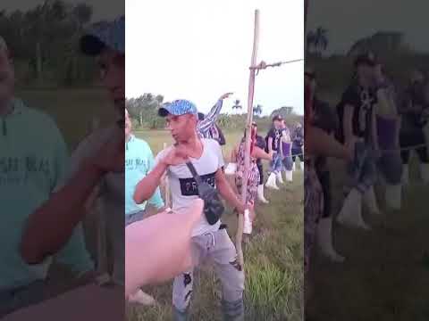 Buena argolla de perdí ciego de Ávila torneo santo toma