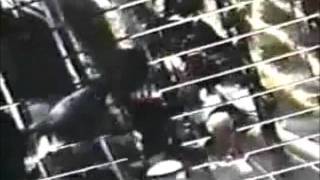 Pig &quot;The Fountain of Miracles&quot;