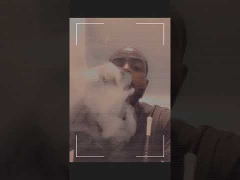 PAPA HOOKAH TIME IN BROOKLYN NYC HOOD