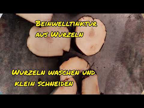 Kräuter  - Tinkturen herstellen