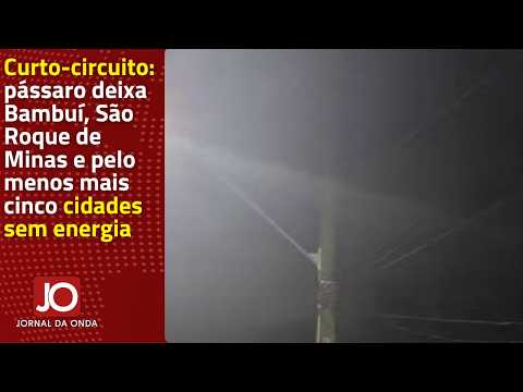 CURTO-CIRCUITO: PÁSSARO DEIXA BAMBUÍ, SÃO ROQUE DE MINAS E PELO MENOS MAIS CINCO CIDADES SEM ENERGIA