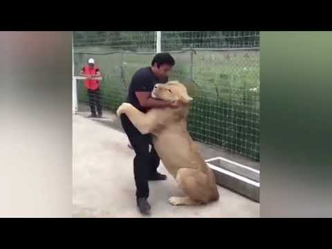 Most Legit Hug in The World