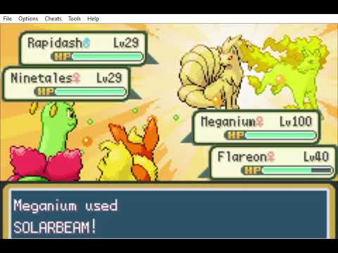 Strange Solarbeam bug in Gen 3 Pokemon