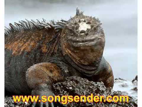 Happy Birthday Erma!!!