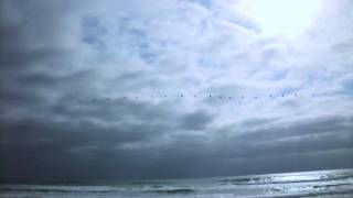 Good Till Cancelled - Tides