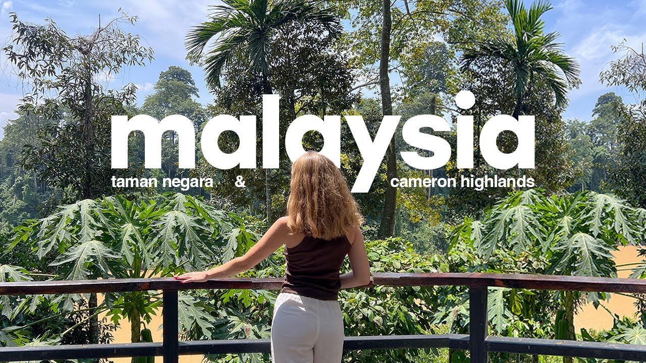 i spent two days in the jungle!!🍃 taman negara & cameron highlands | malaysia diaries (travel vlog)