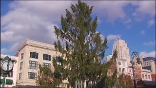 Reading's Charlie Brown Christmas tree