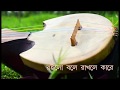 Roilo Bole Rakhle Kare llরইল বলে রাখলে কারে ll Rabindrasangeet ll  Deep Chatterjee ll