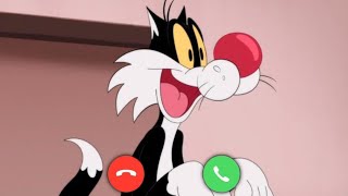 Incoming call from Sylvester Cat | Bugs Bunny