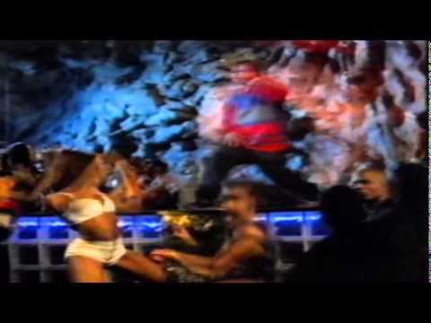 For Real:  Jacko the Bear