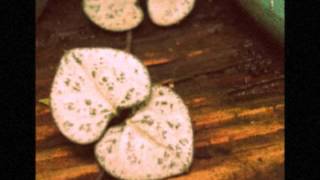 Sin despedir (Carla Morrison)