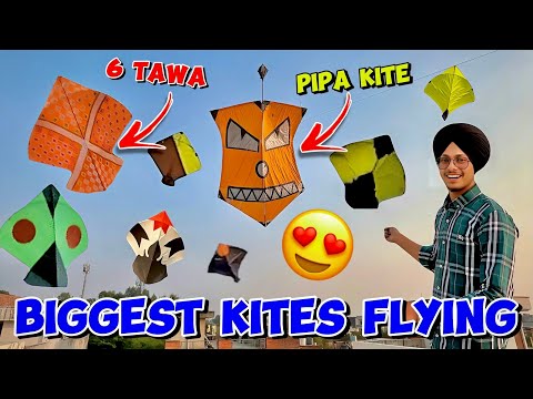 6 Tawa Biggest KiteFlying Vlog 😱|| Pipa Kite Flying Vlog😍|| #lakhanambarsariya #kite #kiteflying #