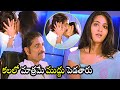 Anushka Shetty And Nagarjuna Love Scene Don Telugu Movie Love Scenes Cinema Theatre