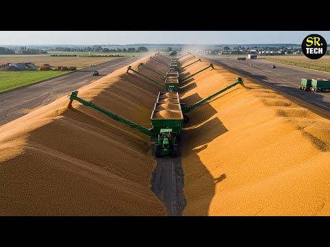 THE LARGEST CORN FARM IN BRAZIL!