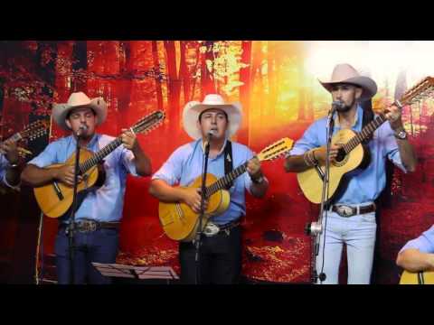 Prog. Prosa, Café e Viola nº 334 - AMIGOS DA VIOLA - JC & TONINHO - JULIANO VIOLA & WILLIAN