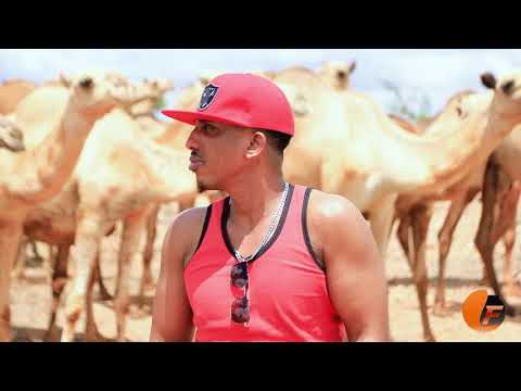 Ilkacase Qays | Heesti Shuweeya official music video 2020 |