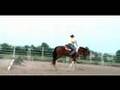 Lonestar - Cowboy Girl... Riding My Paint Horse