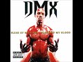DMX - It's All Good