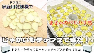 じゃがいもチップスを家庭用食品乾燥機で作ってみた　乾燥のコツ・味・使い道まで紹介