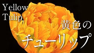黄色いチューリップ【サンプル制作】　(30cm×30cm)