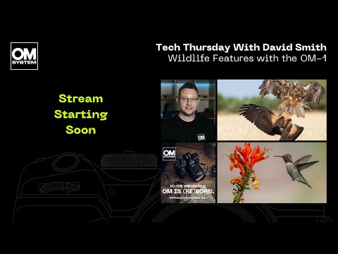 Tech Thursday with David Smith - Wildlife features of OM-1