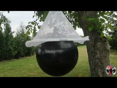 Sposób wykonania pułapki na muchy końskie Gzy