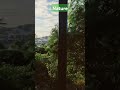 Greenery Nature Travel Tamilnadu Nomadlife1111 Viralshort Explore