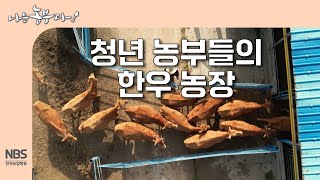 [나는농부다 300회] 청년 농부들의 한우 농장
