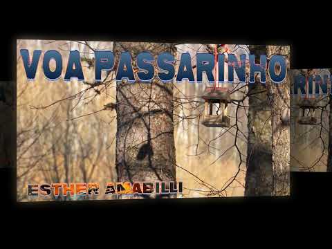 Voa Passarinho Voa Para O Céu - Ezequiel Ângelo…