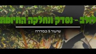 הרב מנחם מנדל פומרנץ | סדרת שיעורי ארבעת המינים - שיעור ה' • לולב - נסדק ונחלקה התיומת •