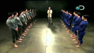 Science of Sex Appeal- The Dating and Mating Pool