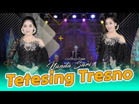 Nanda Sari - Tetesing Tresno (Official Music Video)
