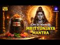 Mahamrityunjaya Mantra 1008 Times Om Tryambakam Yajamahe Mantra To Remove Negative Energy