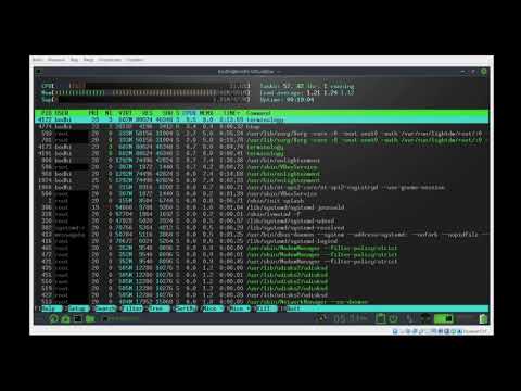 Установка и настройка Bodhi Linux