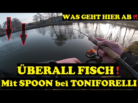 FORELLEN DREHEN völlig DURCH! - ÜBERALL FISCH! Erfolgreiches SPOONANGELN im Frühling