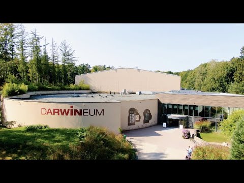 ZOO Rostock Darwineum - Werbespot