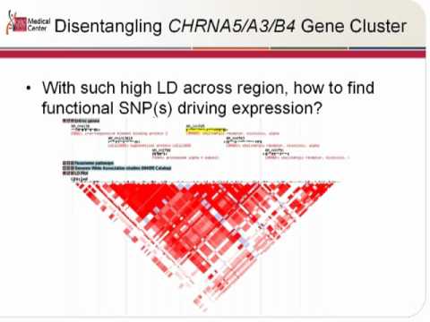 Common Genetic Variants Modulate Nicotinic Alpha5 Receptor
