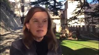 Treviso, l'albero di Natale più grande d'Italia a Castelbrando: 34 metri di altezza e 700 lampadine