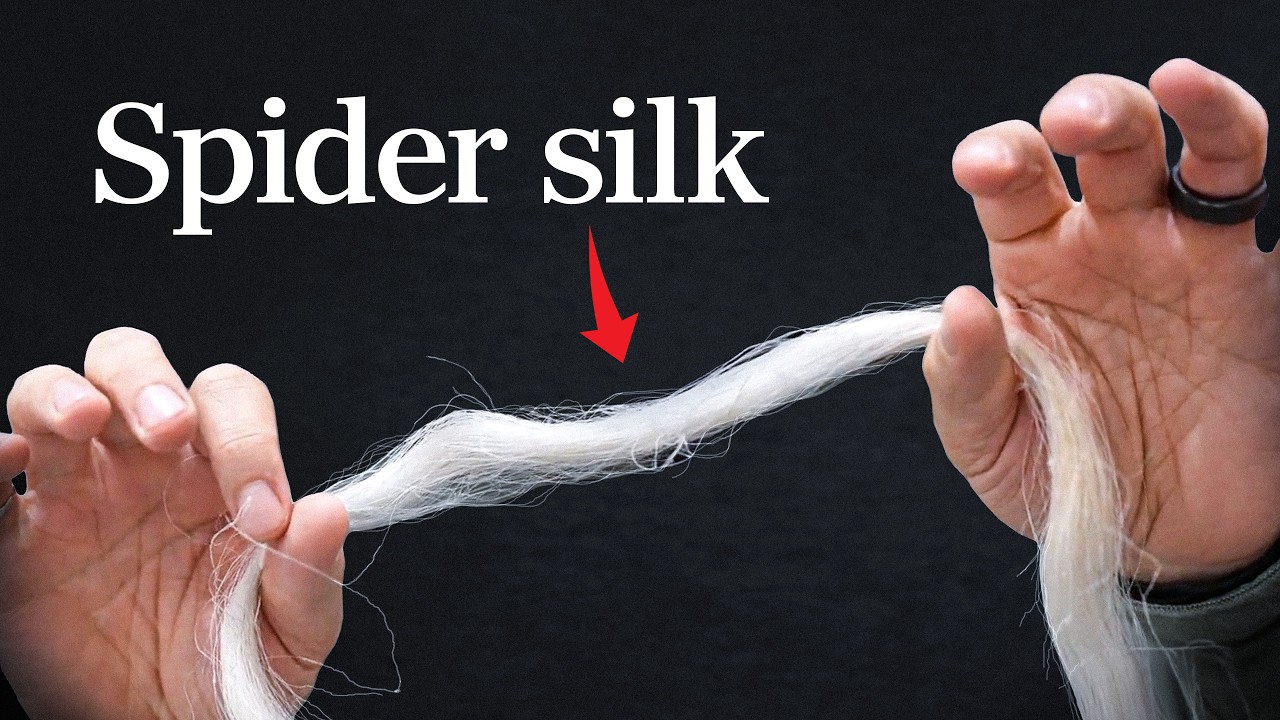 Can you actually swing from spider silk?