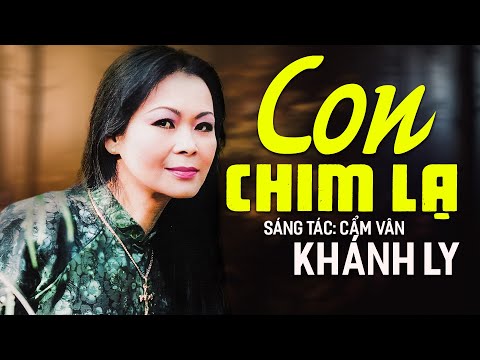 Con chim lạ - Khánh Ly