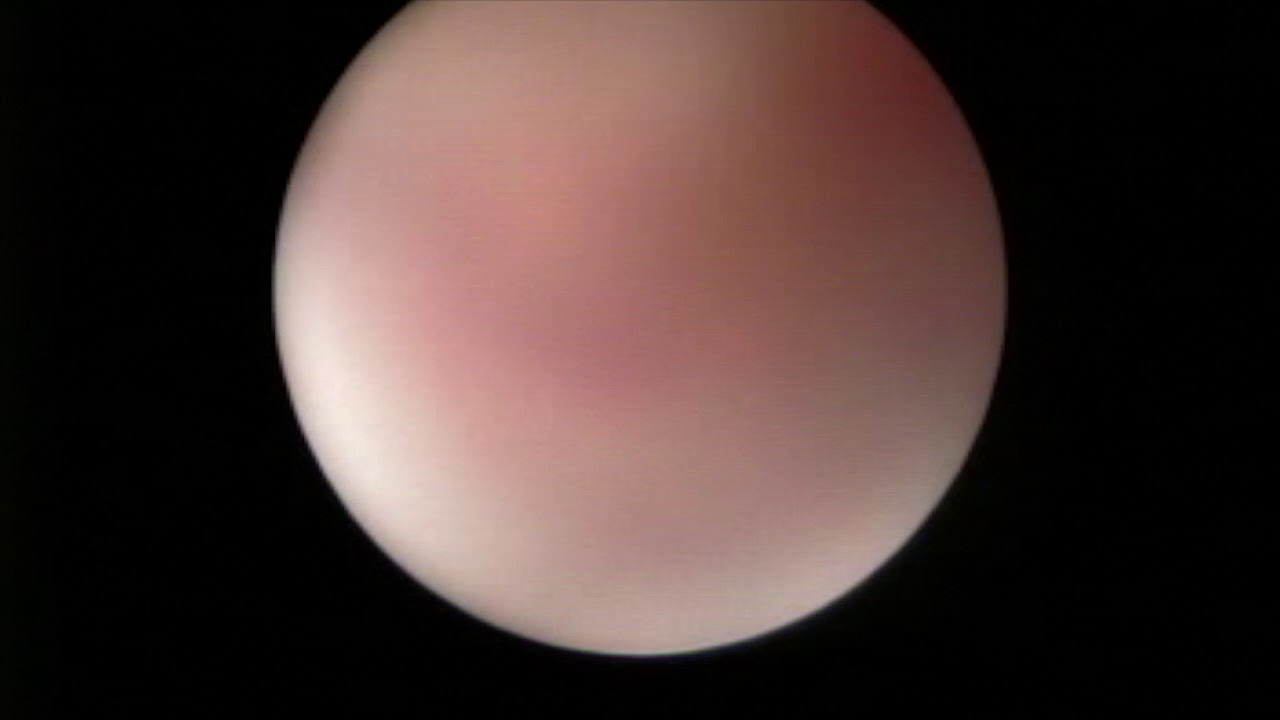 Eduardo Montiel Delgado-21