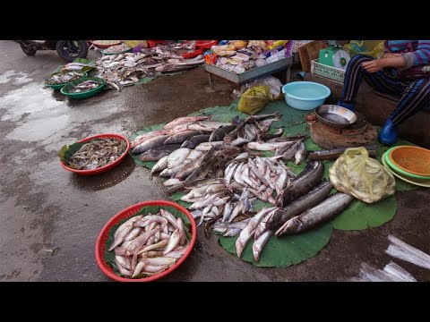 Morning Food Market At Phsa Kilometers Number 7 - Walking Around Km7 Market @Phsa​ Chrang Chom Reh​