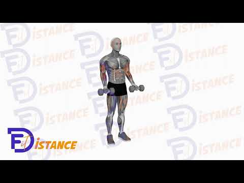 Exercice Curls debout haltères sans rotation