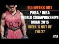 9,5 Weeks Out PNBA / INBA Natural Bodybuilding World's Dubai 2015 - #17