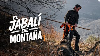 Ep. 1 Cazando al jabalí de la umbría | El jabalí de montaña