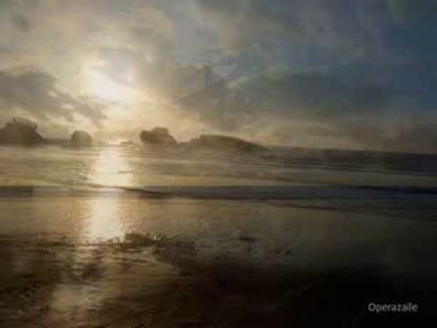 Nathalie Stutzmann: Alto Rhapsody by Brahms