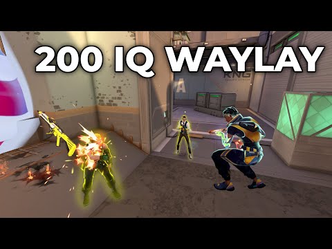 Thinking like an Immortal Waylay